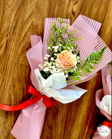 Sự Kiện Nguyên Thảo Trà Vinh