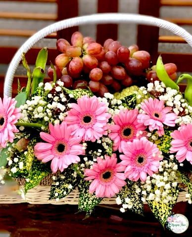 Sự Kiện Nguyên Thảo Trà Vinh
