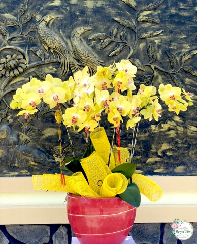 Sự Kiện Nguyên Thảo Trà Vinh