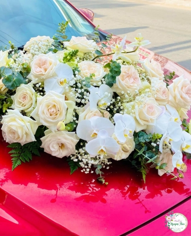 Sự Kiện Nguyên Thảo Trà Vinh