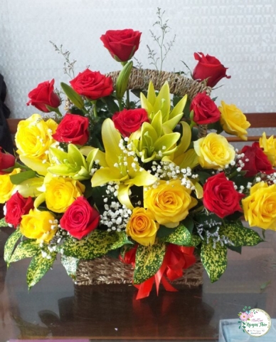 Sự Kiện Nguyên Thảo Trà Vinh