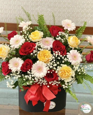 Sự Kiện Nguyên Thảo Trà Vinh