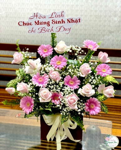 Sự Kiện Nguyên Thảo Trà Vinh