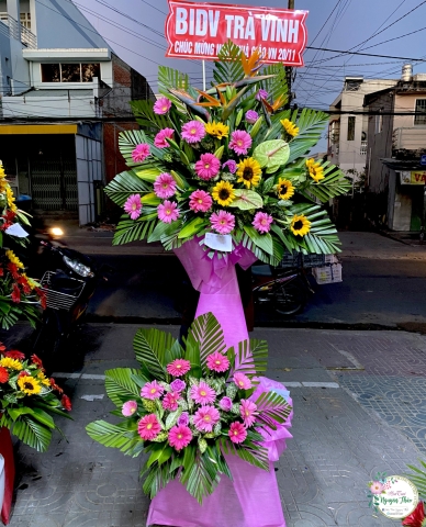 Sự Kiện Nguyên Thảo Trà Vinh