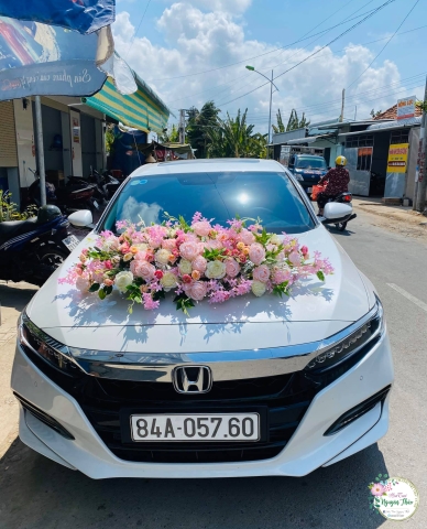 Sự Kiện Nguyên Thảo Trà Vinh