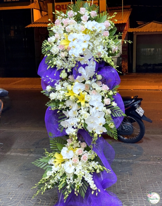 Sự Kiện Nguyên Thảo Trà Vinh