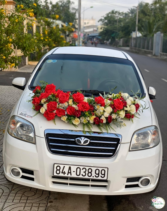 Sự Kiện Nguyên Thảo Trà Vinh