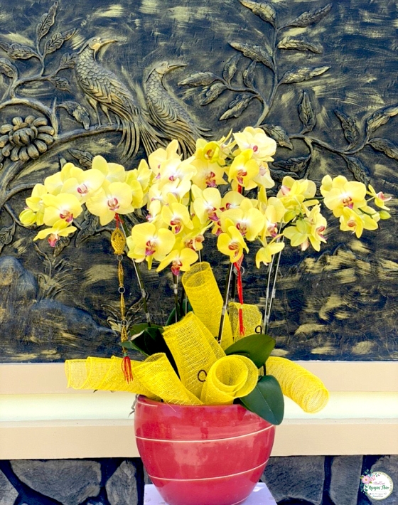 Sự Kiện Nguyên Thảo Trà Vinh