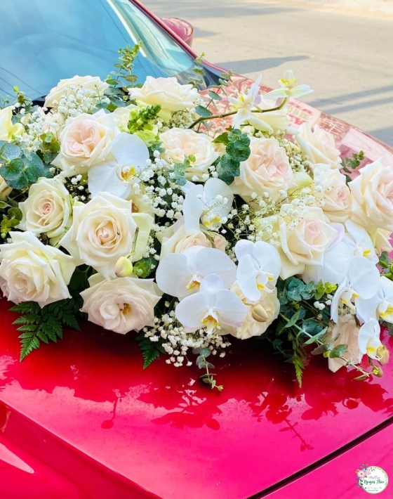 Sự Kiện Nguyên Thảo Trà Vinh