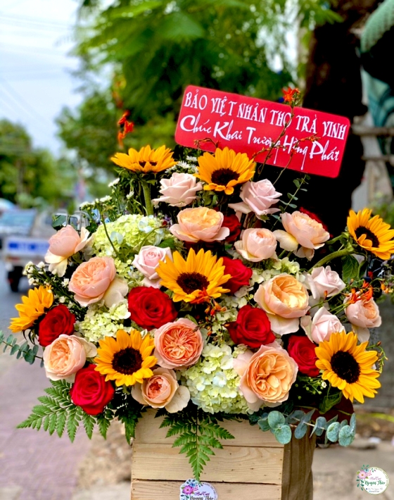 Sự Kiện Nguyên Thảo Trà Vinh