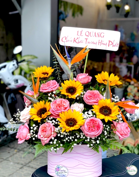 Sự Kiện Nguyên Thảo Trà Vinh