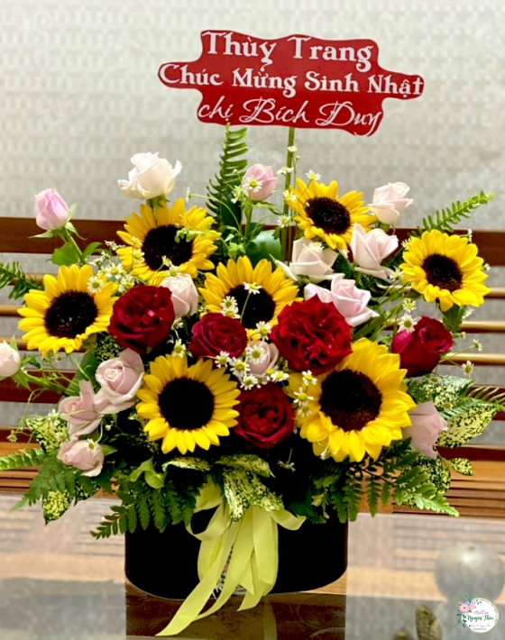 Sự Kiện Nguyên Thảo Trà Vinh