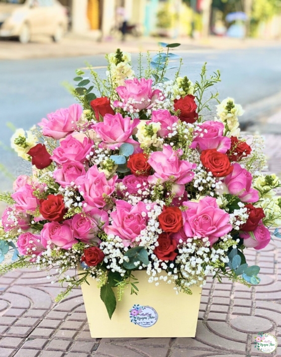 Sự Kiện Nguyên Thảo Trà Vinh
