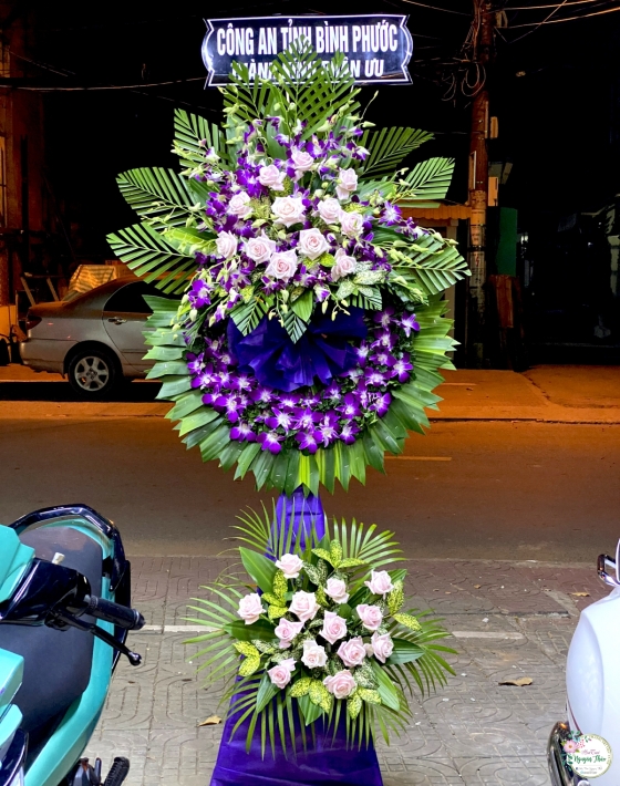 Sự Kiện Nguyên Thảo Trà Vinh