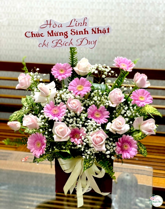 Sự Kiện Nguyên Thảo Trà Vinh