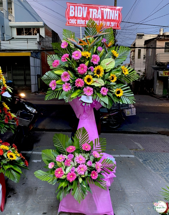Sự Kiện Nguyên Thảo Trà Vinh
