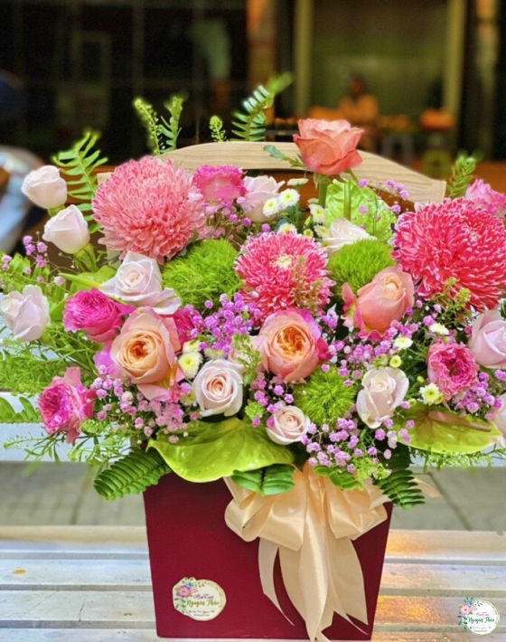 Sự Kiện Nguyên Thảo Trà Vinh