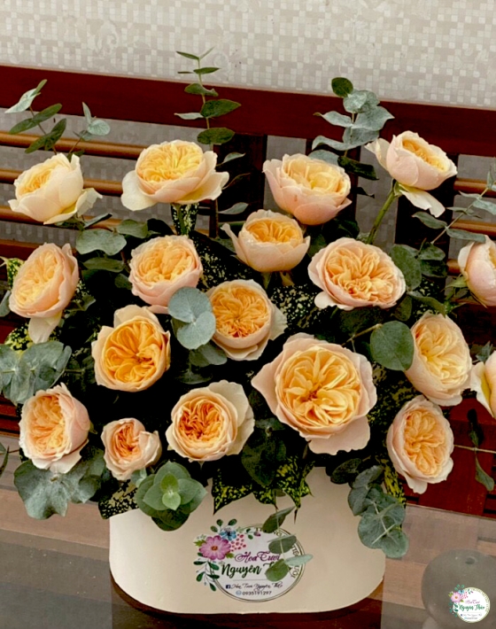 Sự Kiện Nguyên Thảo Trà Vinh