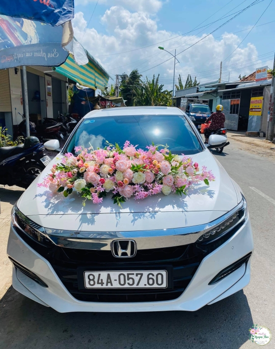 Sự Kiện Nguyên Thảo Trà Vinh