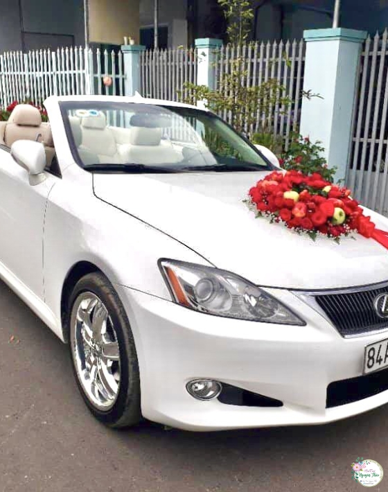 Sự Kiện Nguyên Thảo Trà Vinh