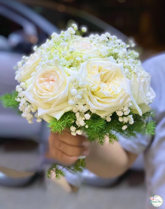 Sự Kiện Nguyên Thảo Trà Vinh