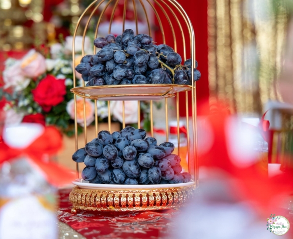 Dịch vụ trọn gói 05