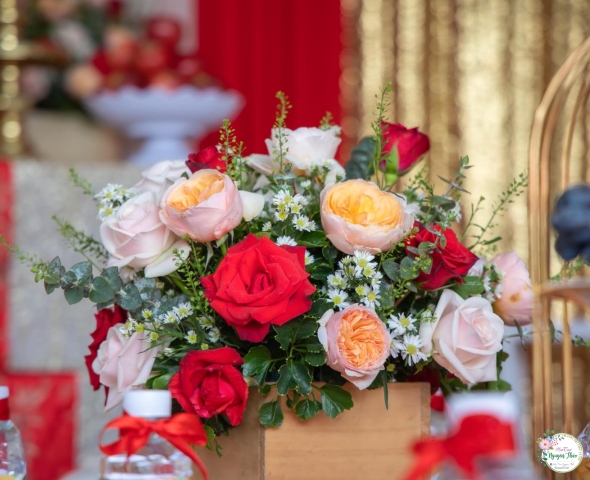 Dịch vụ trọn gói 05