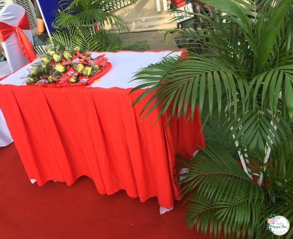 Dịch vụ tổ chức hội nghị – hội thảo của Nguyên Thảo Tại Thành Phố trà Vinh Uy Tín