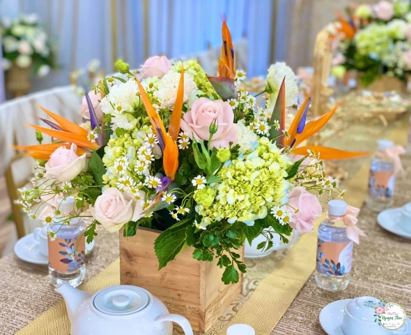 Dịch vụ trọn gói 04